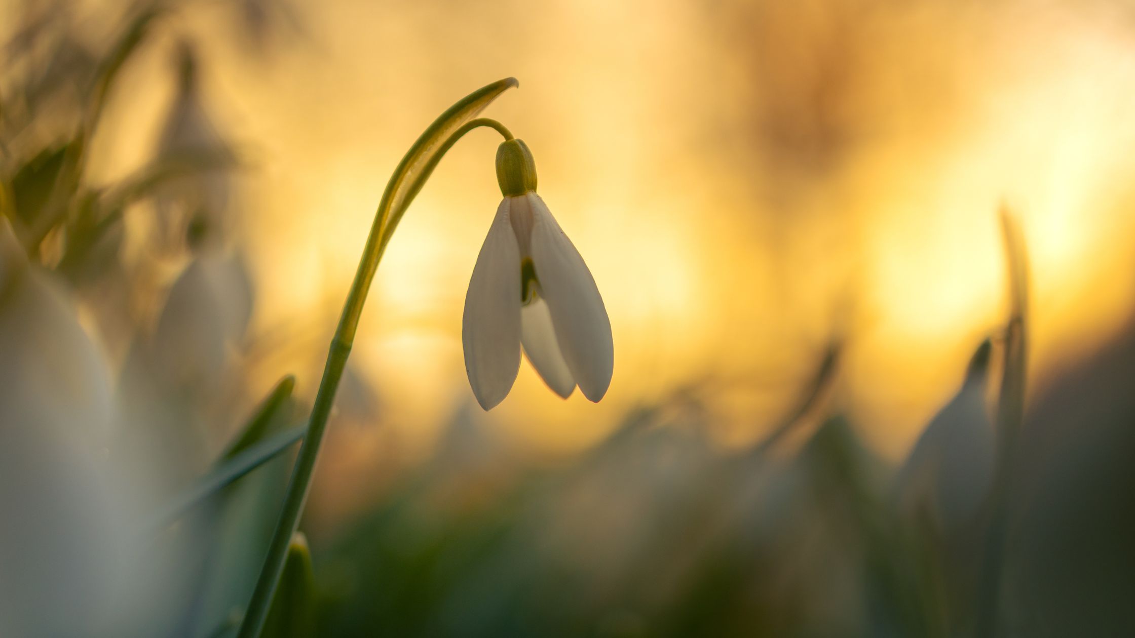 learn and thrive- Mama Vitalicious learn and thrive